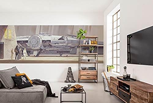 Komar Star Wars 4-4112 - Papel pintado fotogrÃ¡fico Star Wars Classic RMQ Millenium Falcon, tamaÃ±o 368 x 127 cm (ancho x alto), nave espacial, Star Wars 9, Skywalker, papel pintado, decoraciÃ³n de